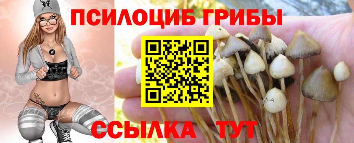 Галлюциногенные грибы мухоморы  Вход с VPN  Дюртюли 